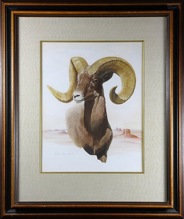 Watercolor: William Warren Dailey (American,. 1920-2002), Gouache on Paper “Desert Bighorn”, #925