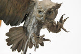 Bronze Sculpture, After Jules Moigniez (French 1835-1894), Le Hibou-The Owl,#933 SOLD